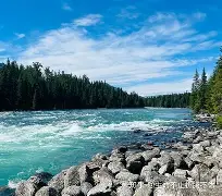 EG翻盘Rogue,Meiko2绝境逆转 EG翻盘Rogue,Meiko2绝境逆转