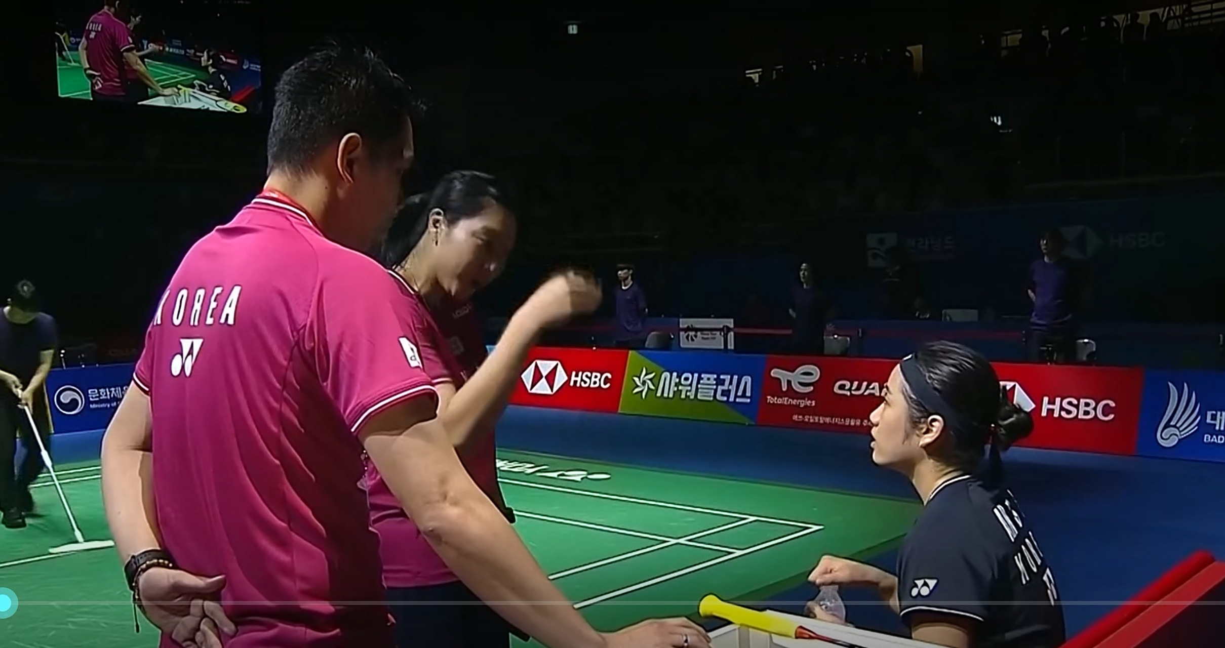 LOL英雄联盟直播-印尼羽毛球队血洗马来西亚羽毛球队，戴资颖关键制胜的简单介绍