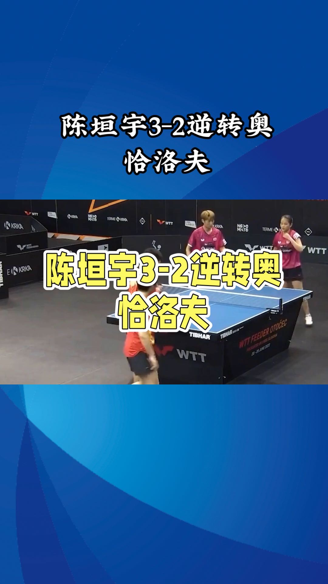 LOL英雄联盟投注-比利时乒乓球队血洗法国乒乓球队，奥恰洛夫绝境逆转