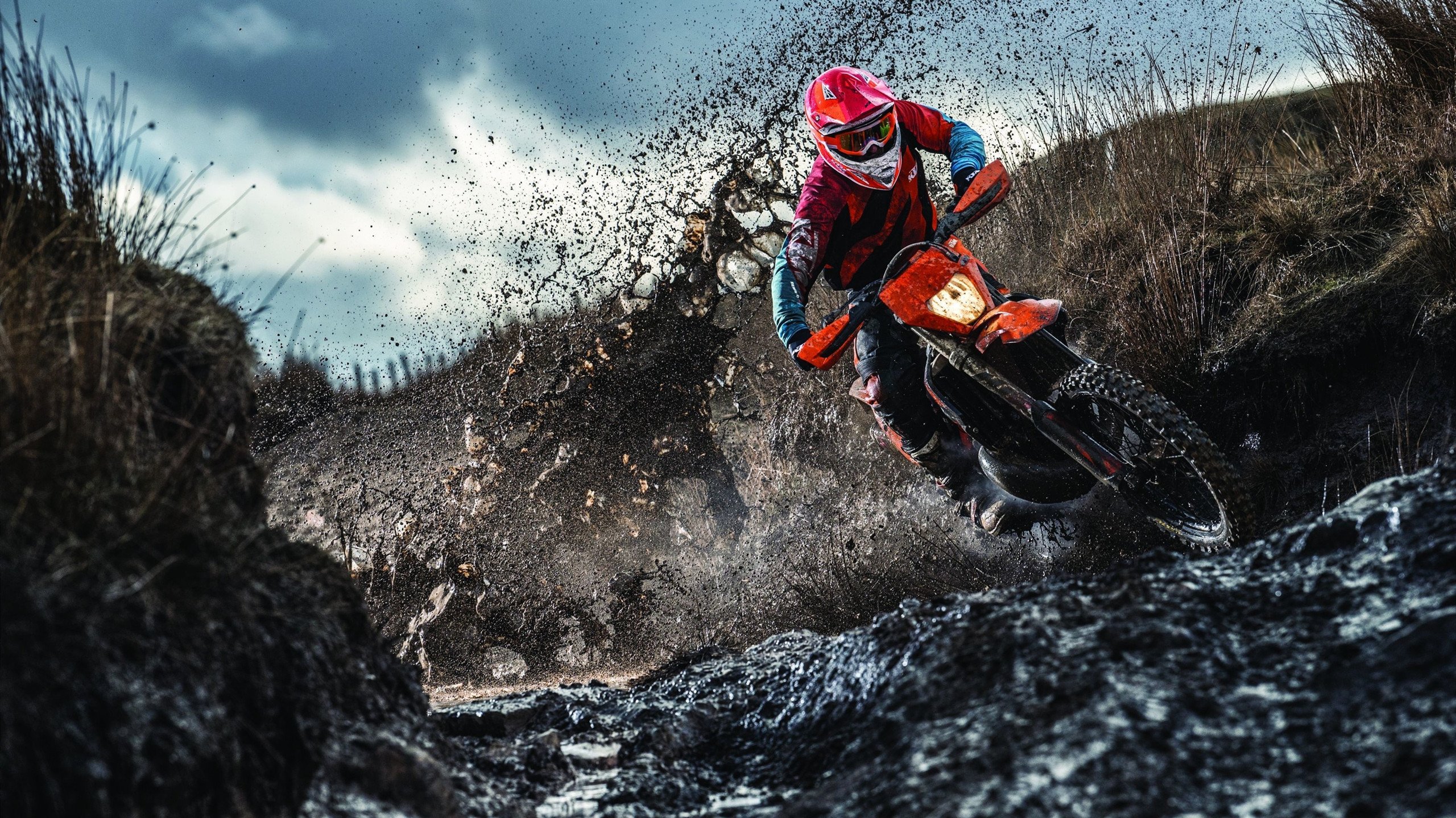 塔图姆的火焰,当波士顿的意志熔铸于北京寒夜